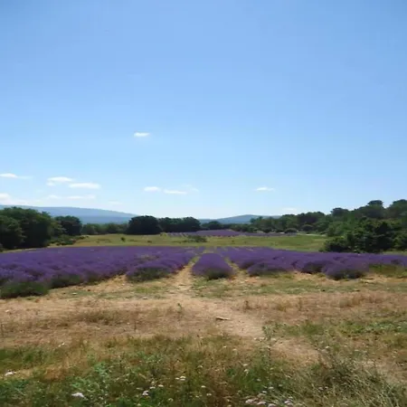 Holiday home Ideal 1km From The